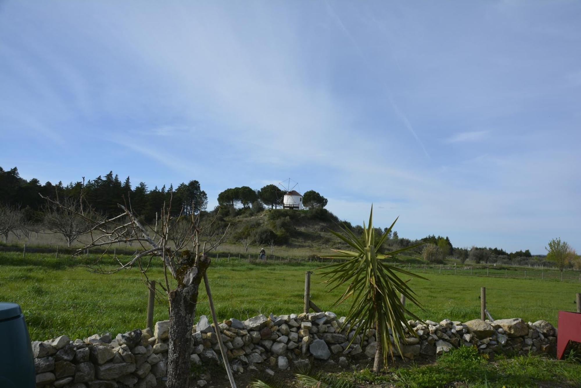 Casa Da Lima - Nestled In Nature On Santiago'S And Fatima'S Path, Close To Coimbra And Rabacal Alvorge Εξωτερικό φωτογραφία