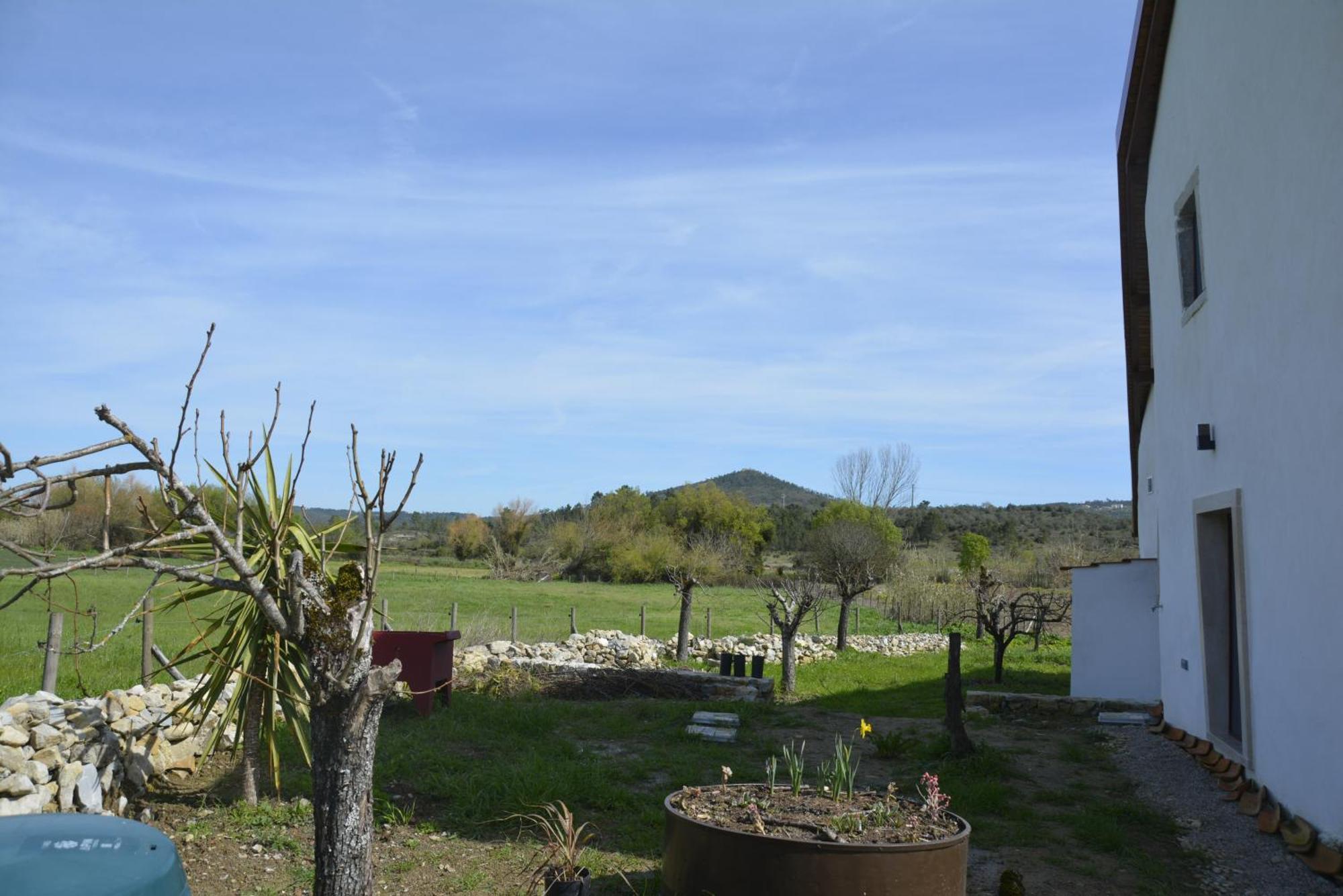 Casa Da Lima - Nestled In Nature On Santiago'S And Fatima'S Path, Close To Coimbra And Rabacal Alvorge Εξωτερικό φωτογραφία