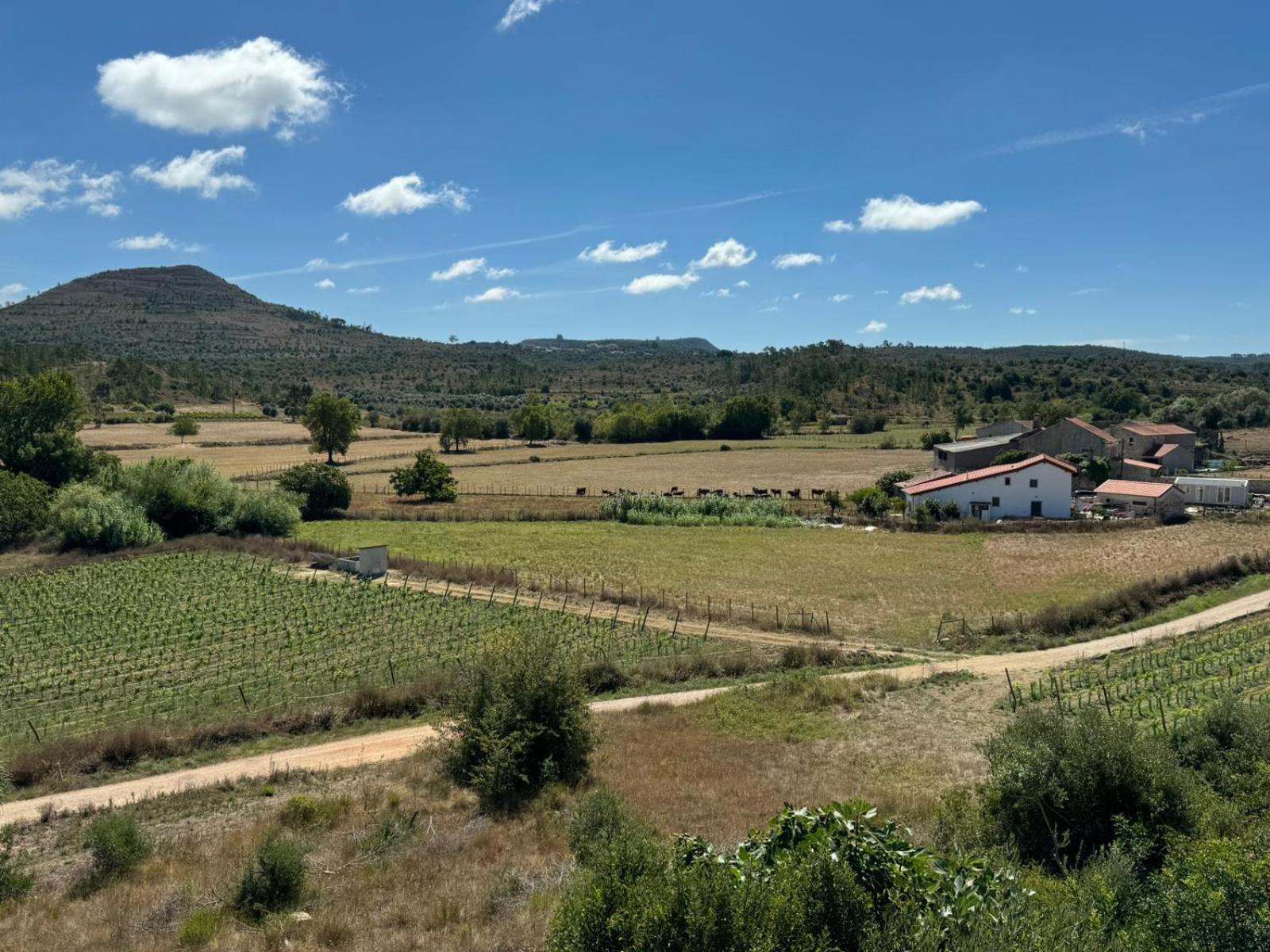 Casa Da Lima - Nestled In Nature On Santiago'S And Fatima'S Path, Close To Coimbra And Rabacal Alvorge Εξωτερικό φωτογραφία