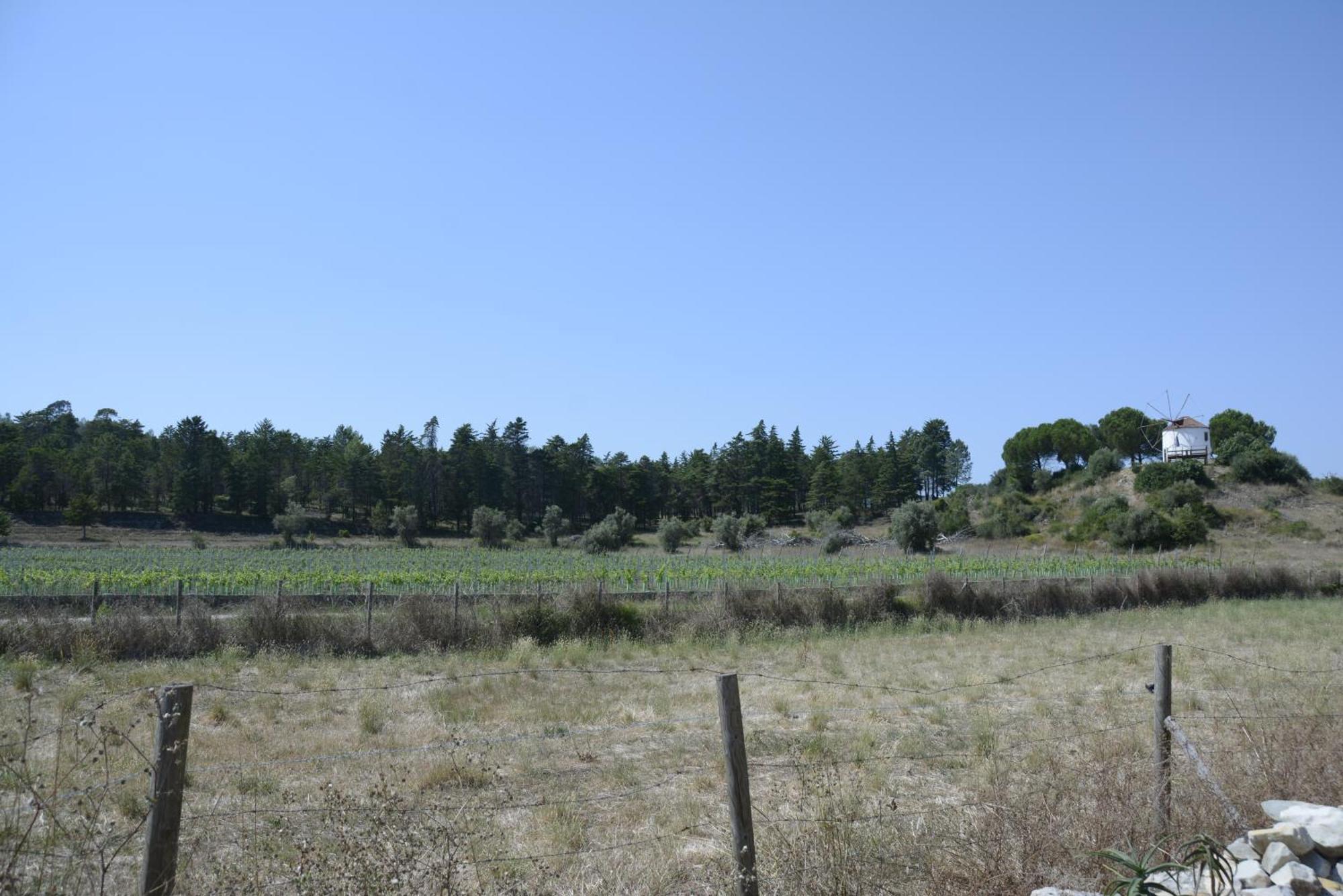 Casa Da Lima - Nestled In Nature On Santiago'S And Fatima'S Path, Close To Coimbra And Rabacal Alvorge Εξωτερικό φωτογραφία