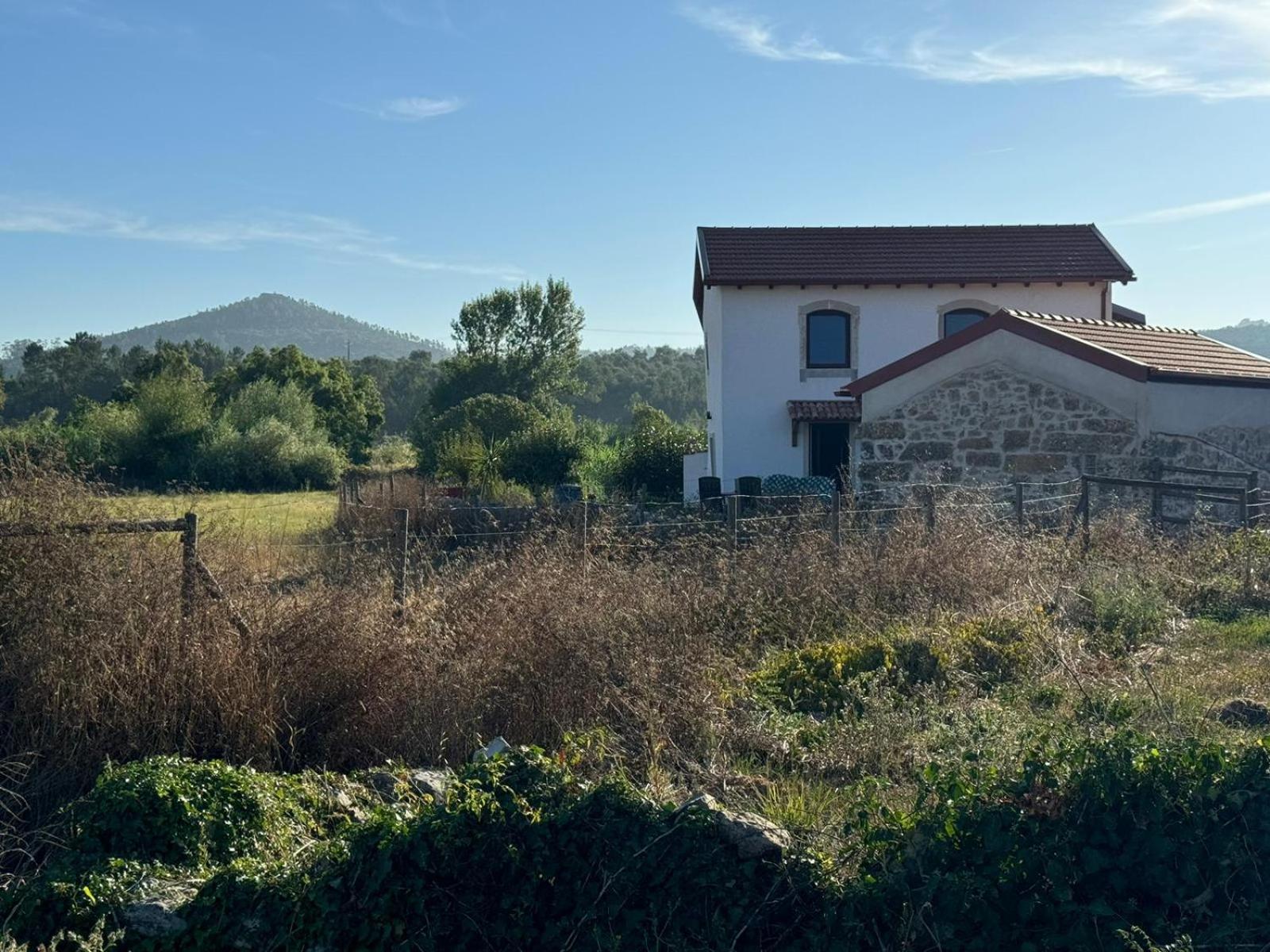 Casa Da Lima - Nestled In Nature On Santiago'S And Fatima'S Path, Close To Coimbra And Rabacal Alvorge Εξωτερικό φωτογραφία