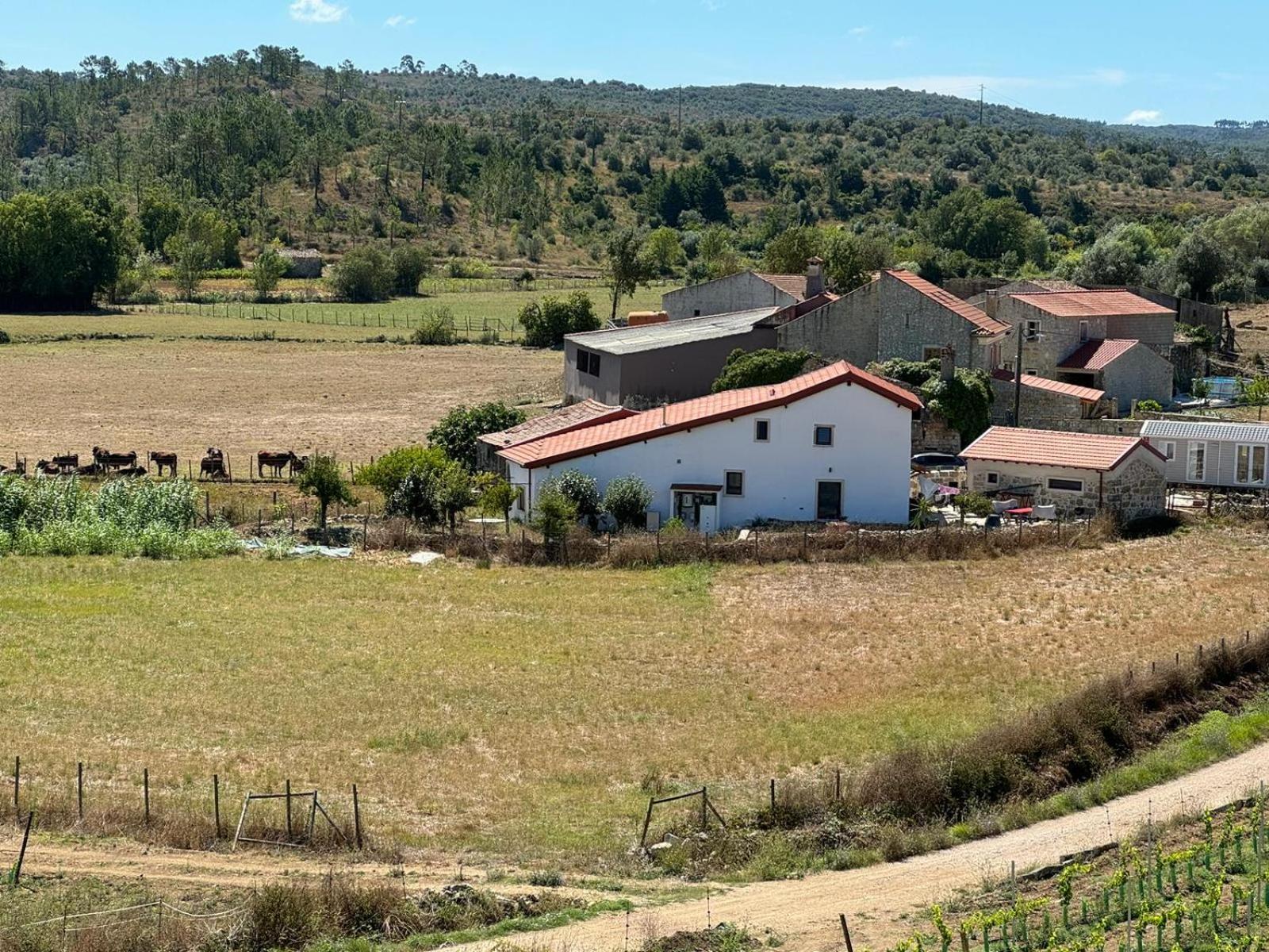 Casa Da Lima - Nestled In Nature On Santiago'S And Fatima'S Path, Close To Coimbra And Rabacal Alvorge Εξωτερικό φωτογραφία