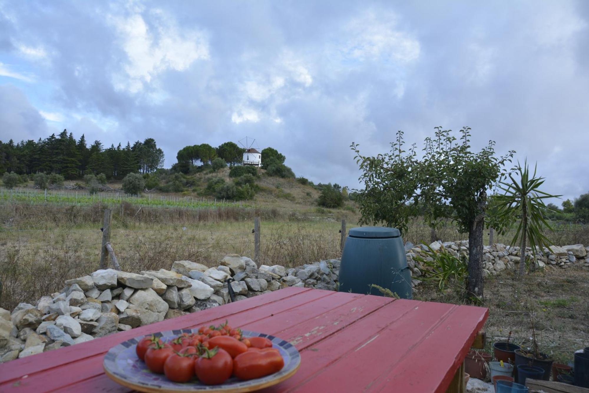 Casa Da Lima - Nestled In Nature On Santiago'S And Fatima'S Path, Close To Coimbra And Rabacal Alvorge Εξωτερικό φωτογραφία