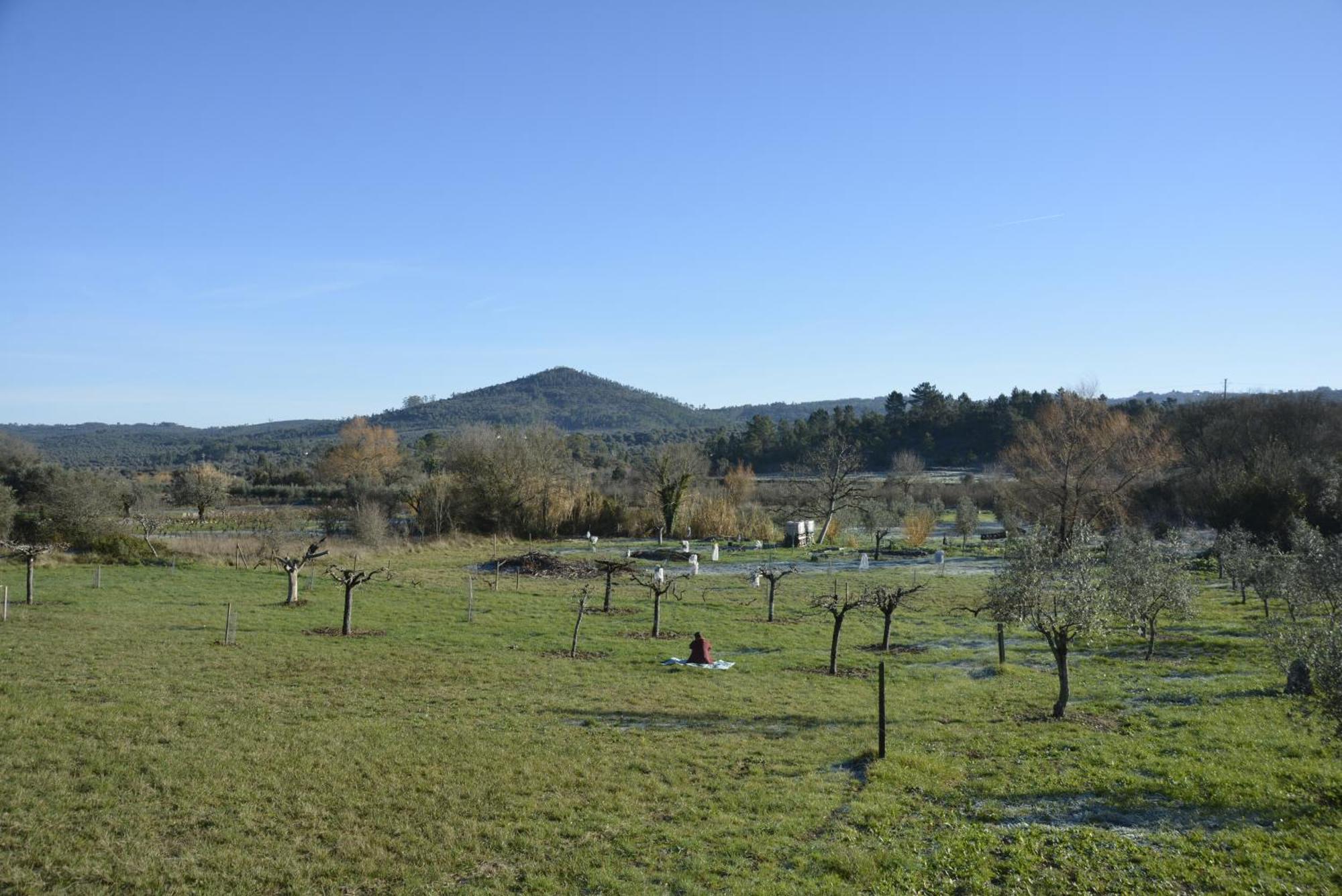 Casa Da Lima - Nestled In Nature On Santiago'S And Fatima'S Path, Close To Coimbra And Rabacal Alvorge Εξωτερικό φωτογραφία
